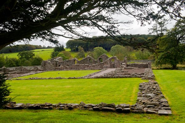 Deer Abbey 2