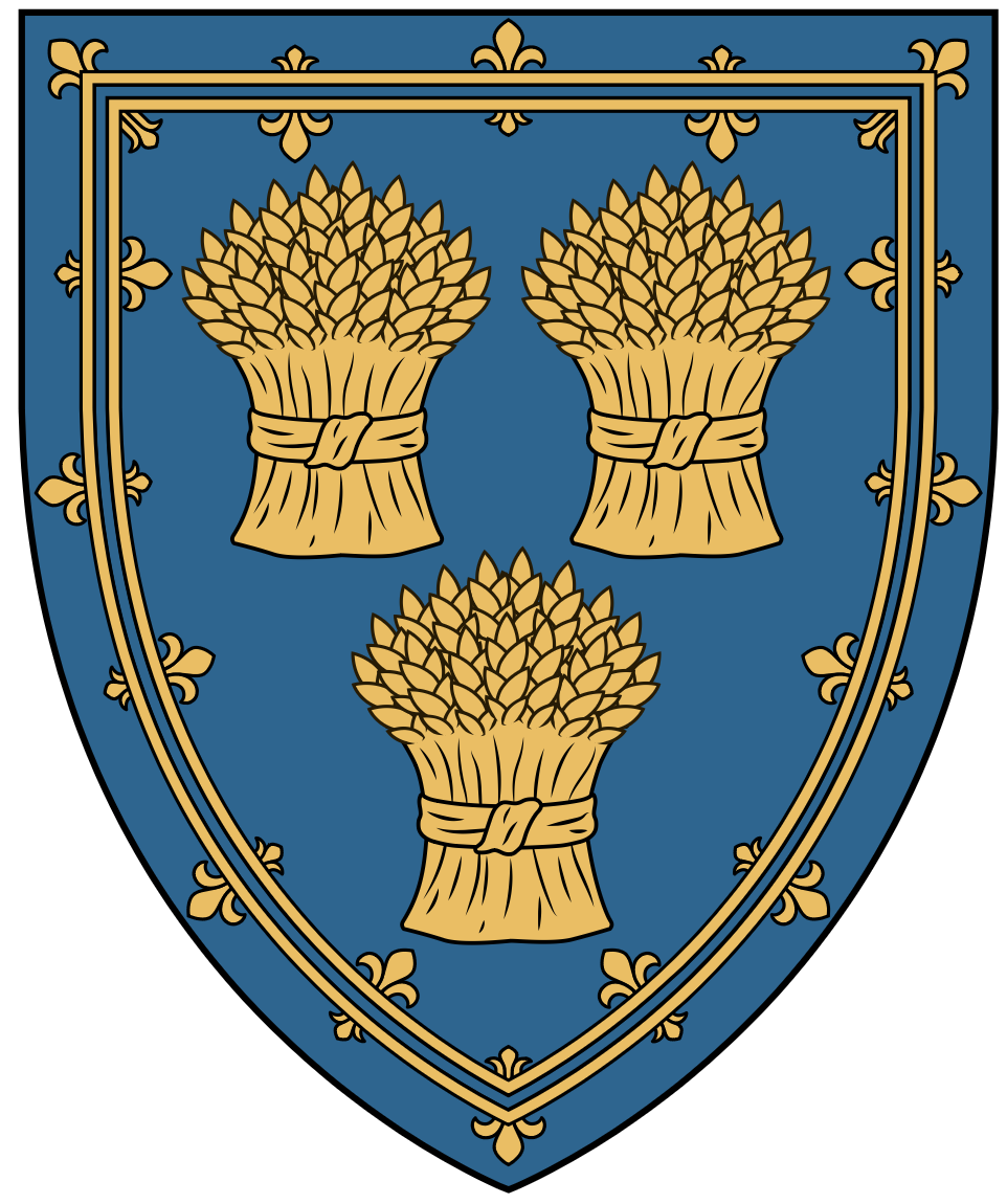 Comyn Blue Coat of Arms