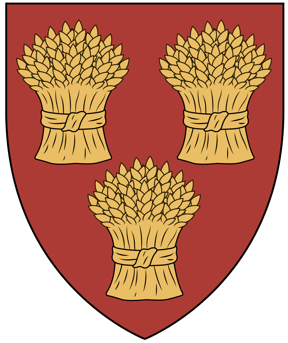 Comyn Red Coat of Arms