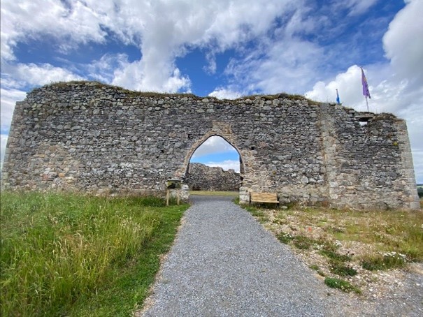 Castle Roy